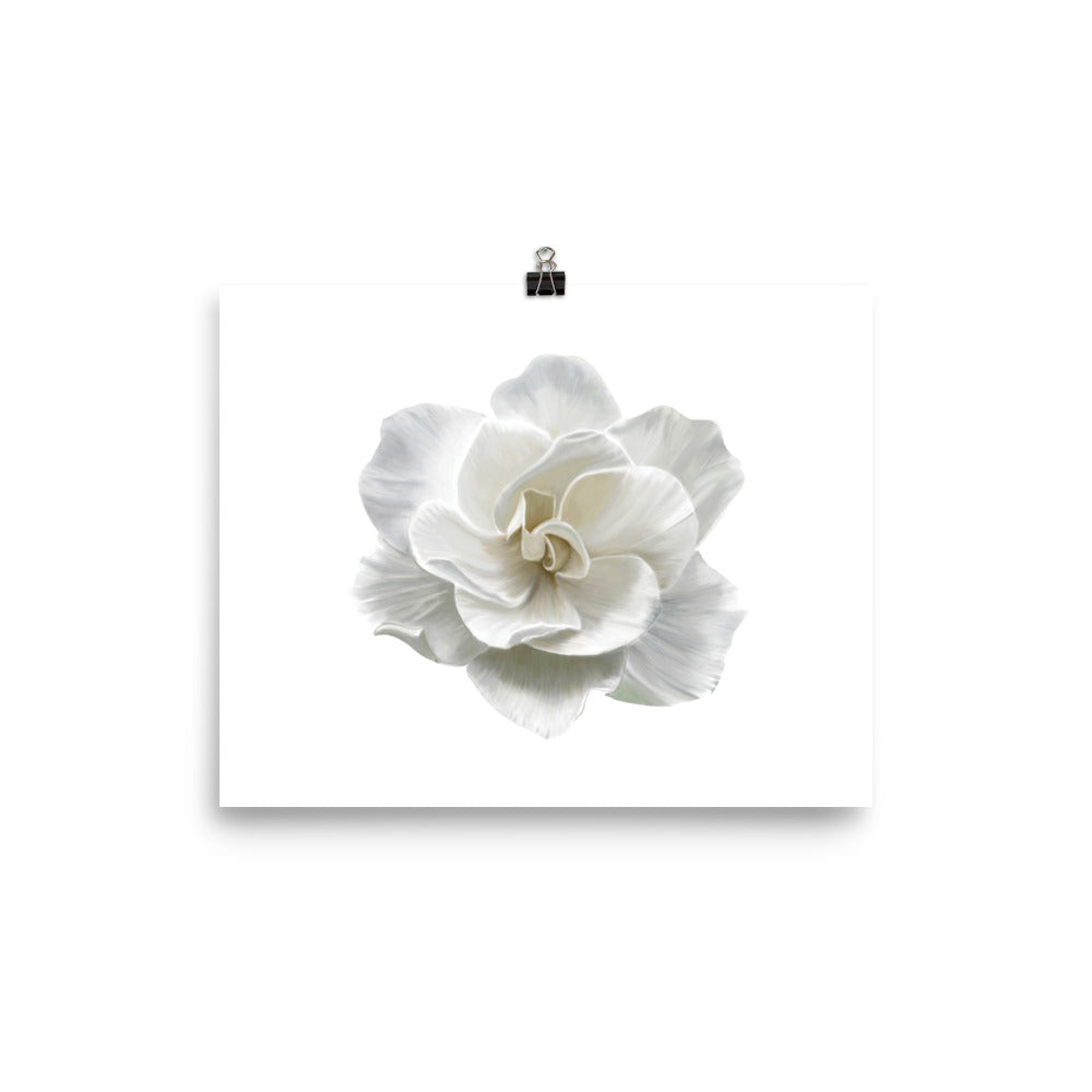 Gardenia Acrylic