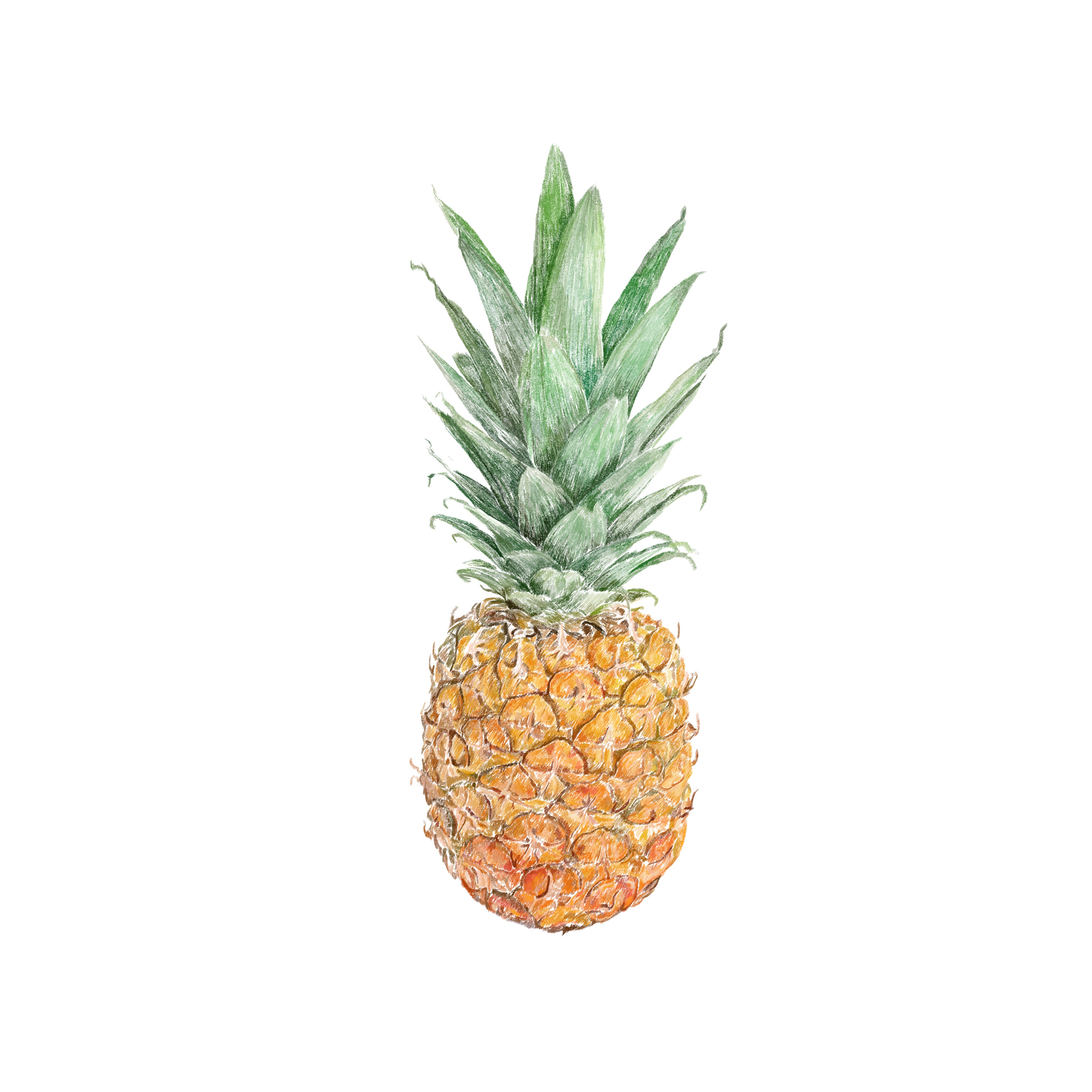 Pineapple Tote Bag
