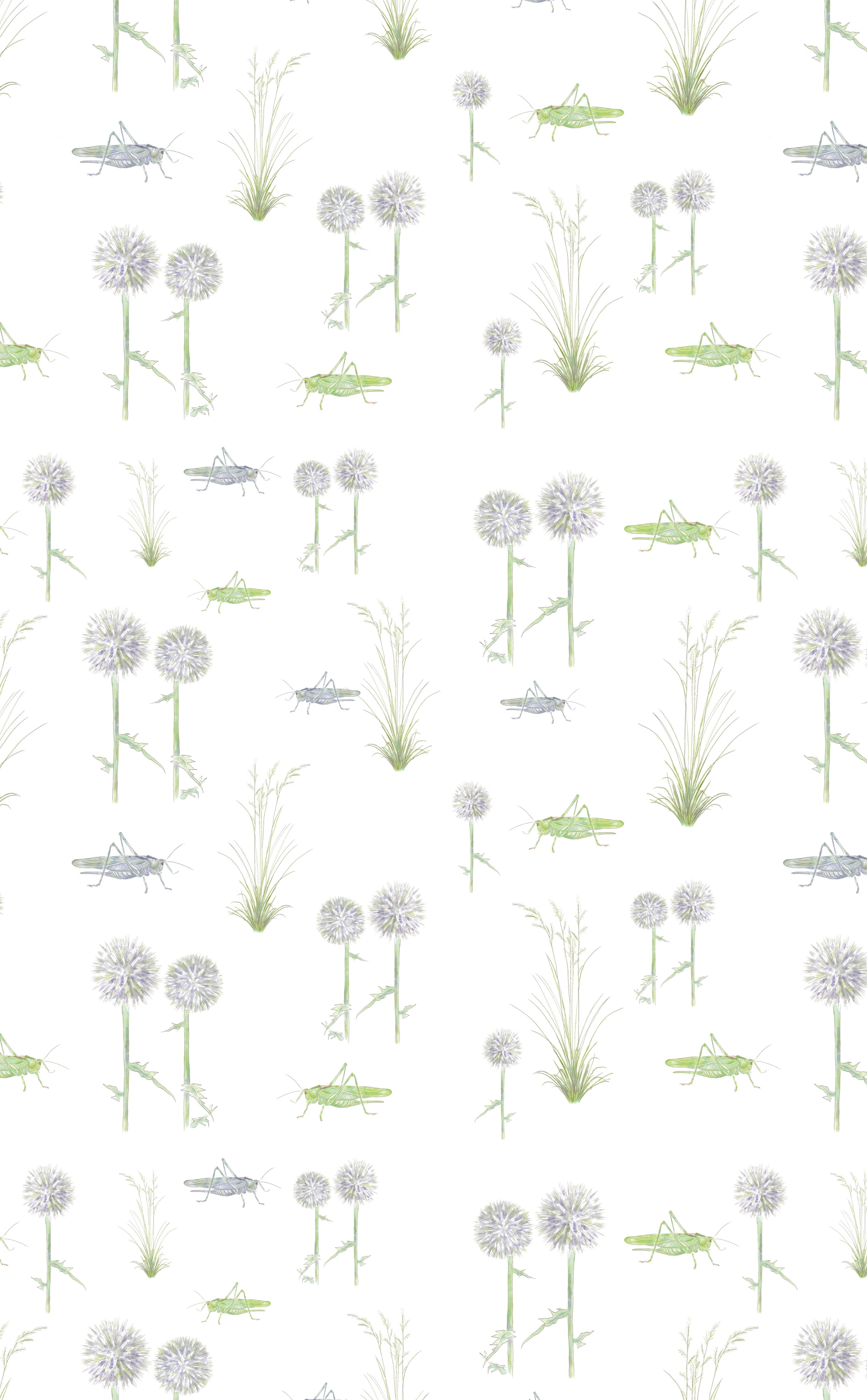 GRASSHOPPERS, GLOBE THISTLE AND GRASS PATTERN