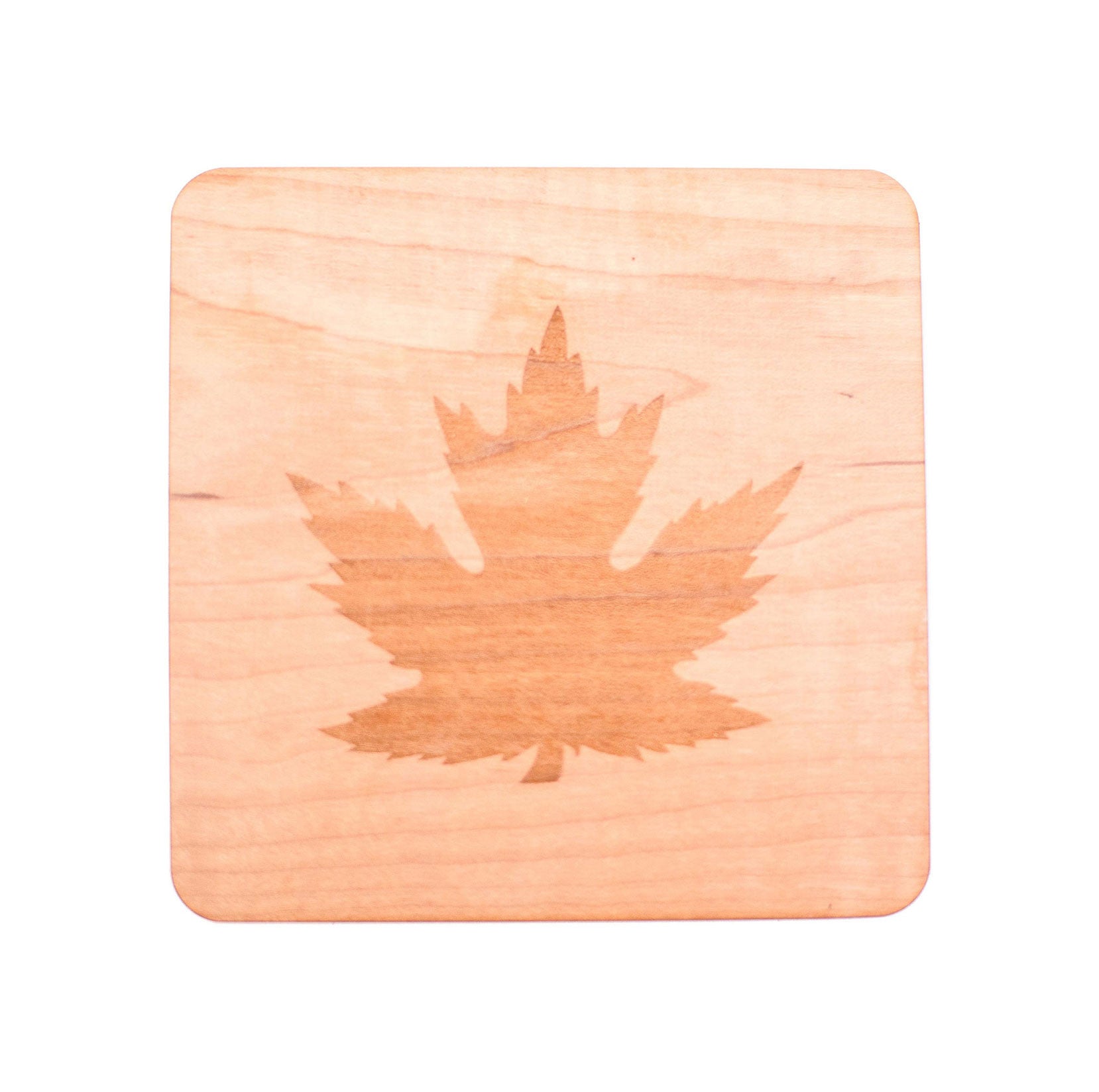 Curly Maple