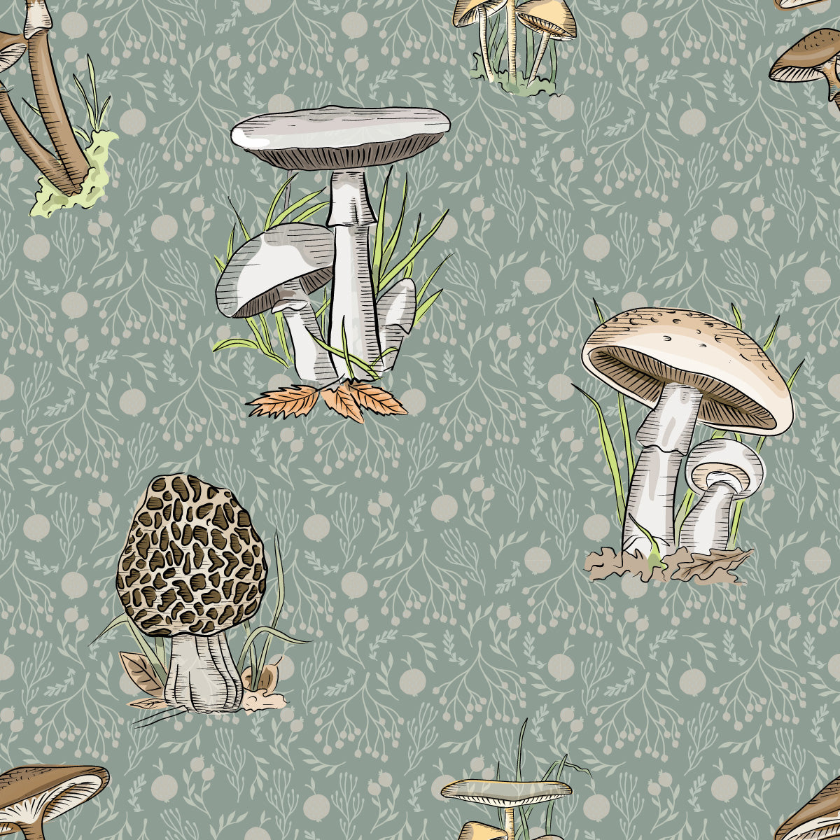 THE FOREST FLOOR